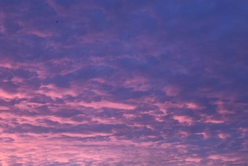 Purple and pink sky with clouds, representing reflection, emotional grounding, and mindfulness themes connected to neurodiverse affirming speech therapy in NYC.