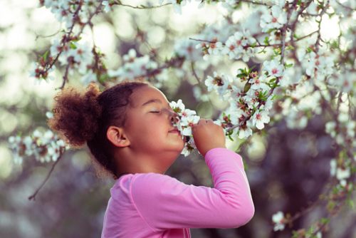 Young girl smelling flowers in springtime, representing sensory engagement supported through sensory regulation therapy in NYC.