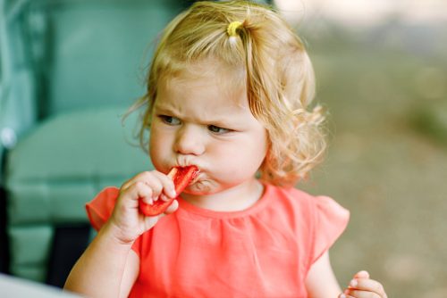 Little toddler girl eating red pepper and vegetables for healthy lunch snack sitting in baby stroller. happy child and healthy food.