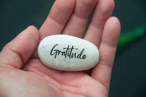 Hand holding a smooth stone engraved with the word “Gratitude,” reflecting the mindful communication practices encouraged in speech and language therapy in NYC.