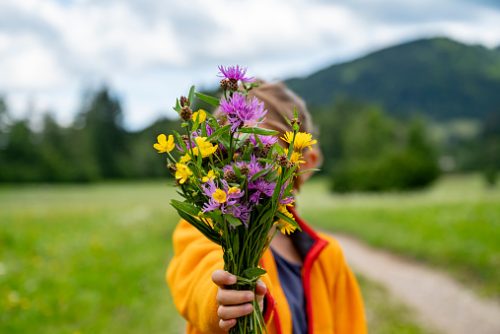 A child in an orange jacket holds out a colorful bouquet of purple and yellow wildflowers, with a lush green landscape and hills in the background.