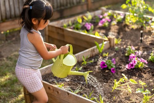A young child waters plants in a garden bed, practicing focus and routine-building, an image that reflects small, consistent steps toward speech therapy goals in NYC.